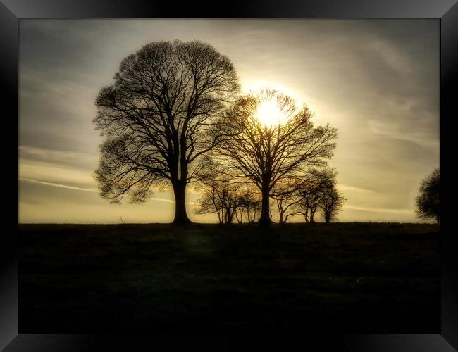 Moody Trees on Borough Hill Daventry Framed Print by Helkoryo Photography