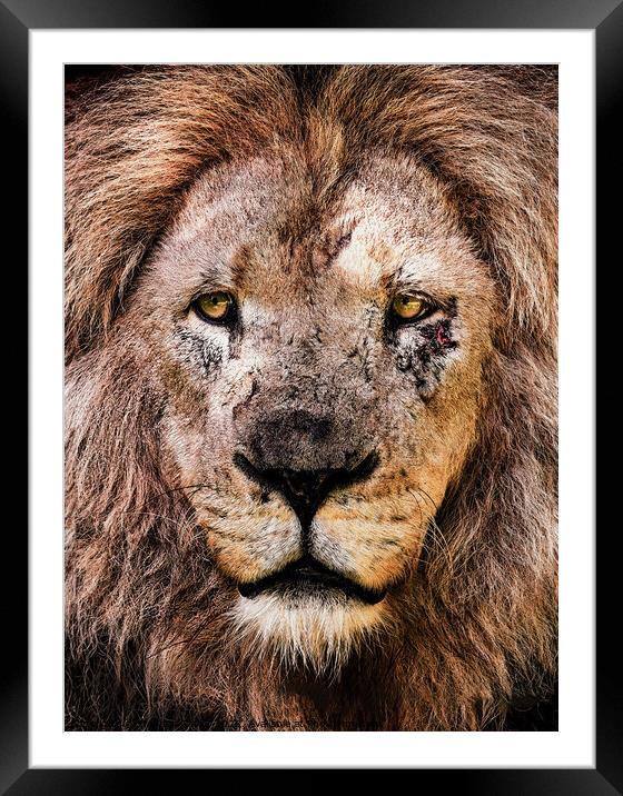 Scar Framed Mounted Print by Stephen Taylor