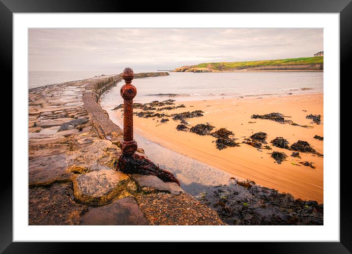 Cullercoats Framed Mounted Print by Tim Hill