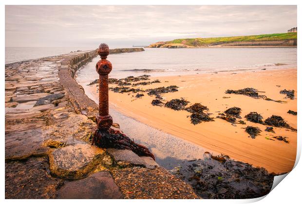 Cullercoats Print by Tim Hill