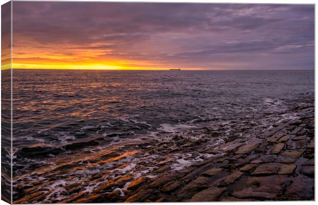 Cullercoats Pier Sunrise Canvas Print by Tim Hill