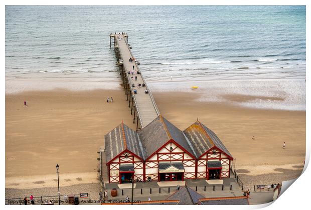 Victorian pier on the coast Print by Chris Yaxley