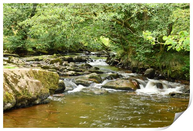 Taff Fechan River just above the waterfall  Print by Nick Jenkins