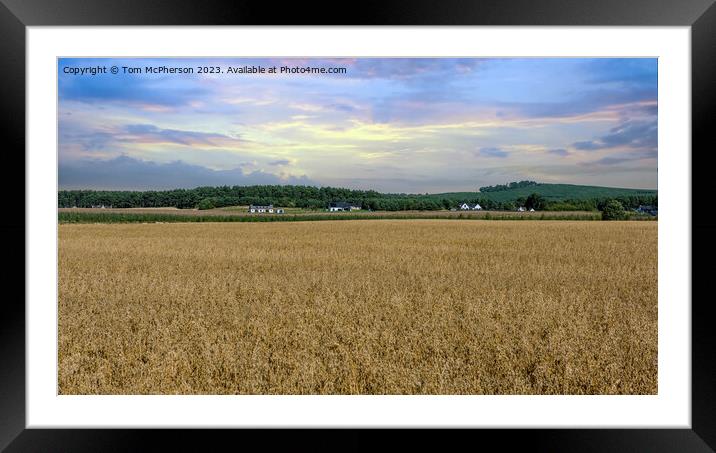 Morayshire's Verdant Agricultural Landscape Framed Mounted Print by Tom McPherson