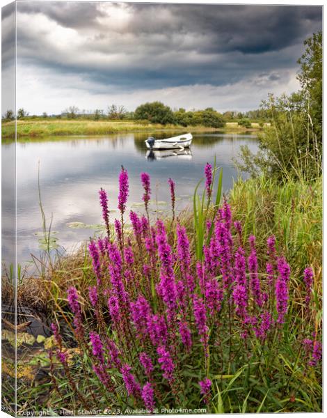 Moored Boat on the River Dee Canvas Print by Heidi Stewart