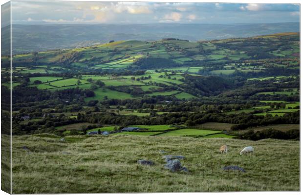 West Wales countryside Canvas Print by Leighton Collins