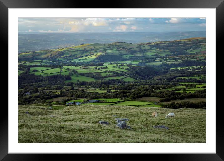 West Wales countryside Framed Mounted Print by Leighton Collins
