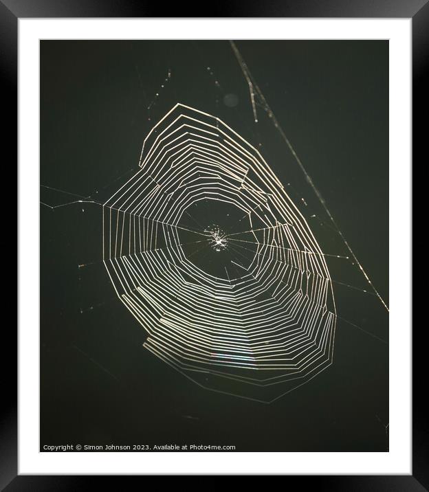 sunlit cobweb Framed Mounted Print by Simon Johnson