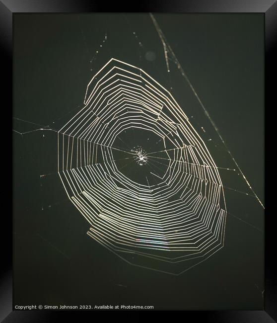 sunlit cobweb Framed Print by Simon Johnson
