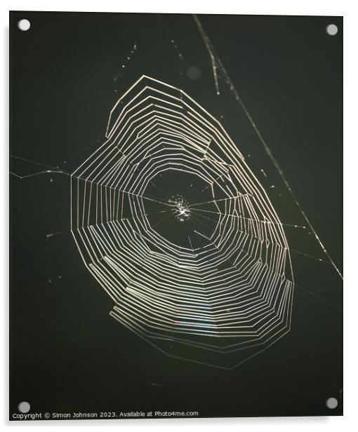 sunlit cobweb Acrylic by Simon Johnson