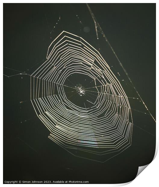 sunlit cobweb Print by Simon Johnson