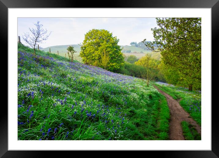 Newton Woods Framed Mounted Print by Steve Smith