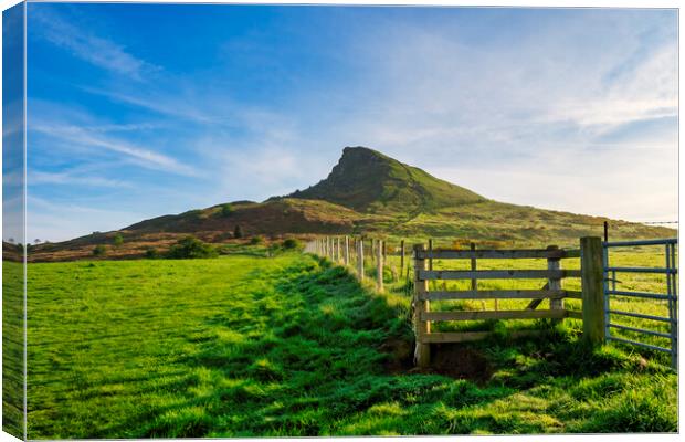 Roseberry Topping Canvas Print by Steve Smith