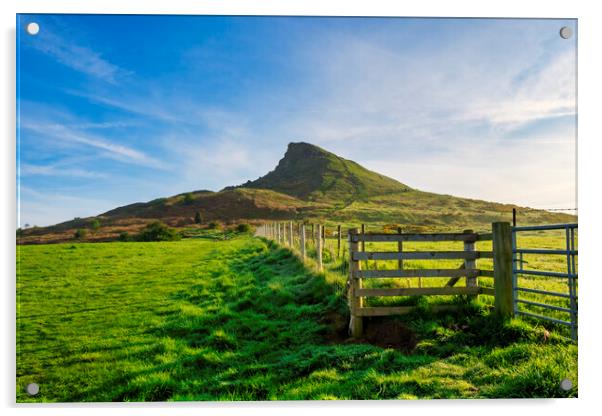 Roseberry Topping Acrylic by Steve Smith