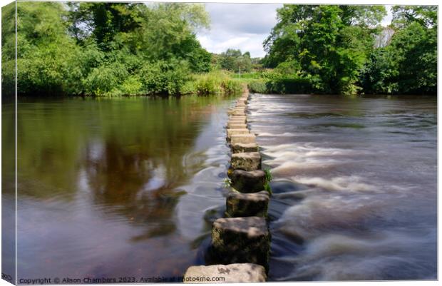River Wharf Stepping Stones Canvas Print by Alison Chambers