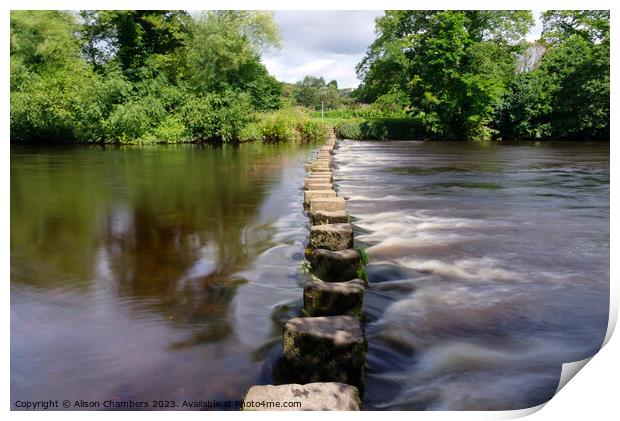 River Wharf Stepping Stones Print by Alison Chambers