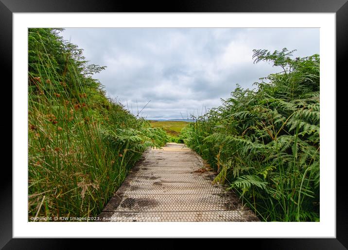 Cornalees Nature Trail Board Walk Framed Mounted Print by RJW Images