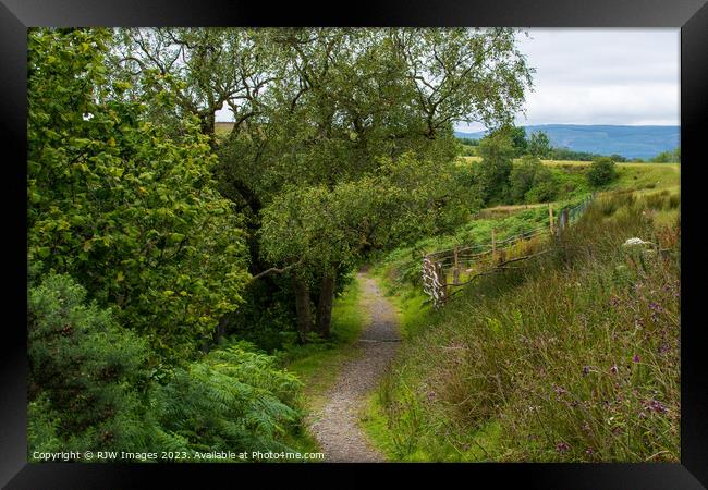 Cornalees Nature Trail Framed Print by RJW Images