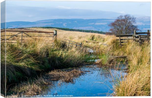 Cornalees and Greenock Cut Canvas Print by RJW Images
