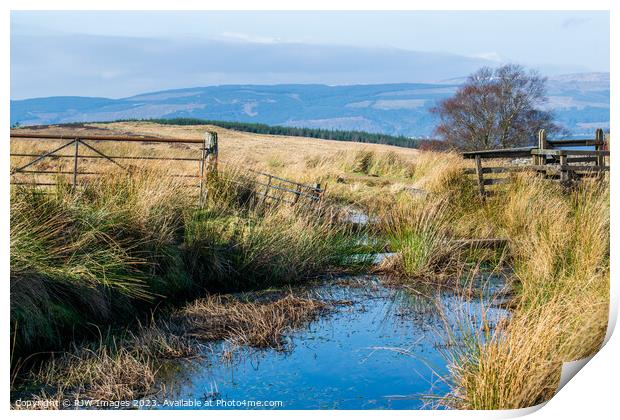 Cornalees and Greenock Cut Print by RJW Images