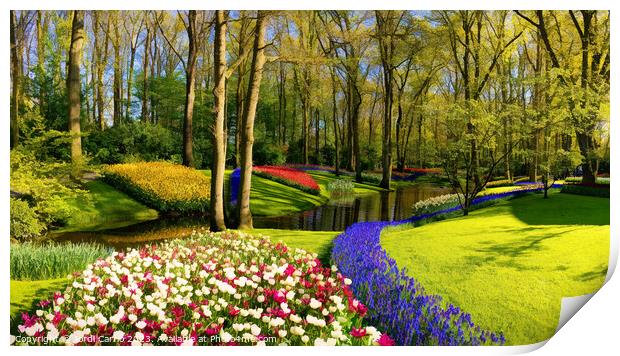 Colorful Tulip Oasis - CR2305-9212-ABS Print by Jordi Carrio