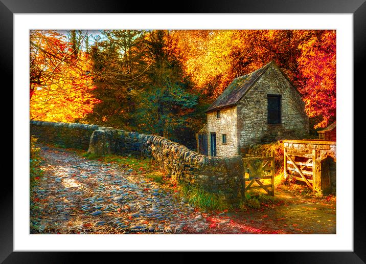 Milldale Peak District in Autumn  Framed Mounted Print by Alison Chambers