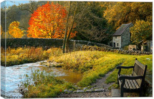 Milldale in Dovedale Canvas Print by Alison Chambers