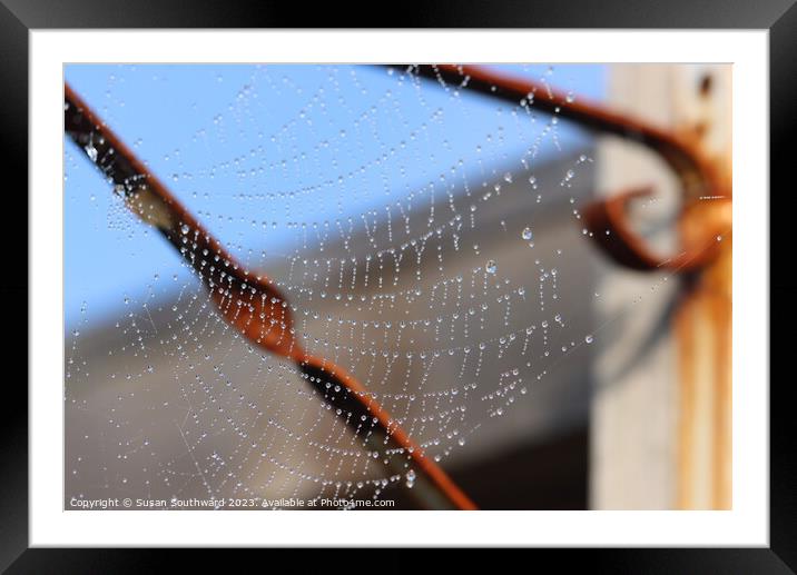 Rustic Web  Framed Mounted Print by Susan Southward