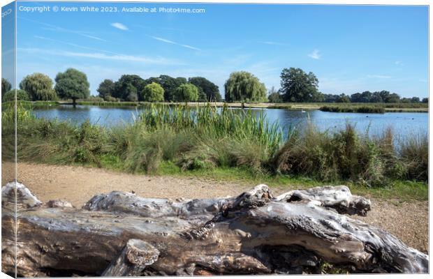 Resting log next to Heron pond in Bushy Park Canvas Print by Kevin White