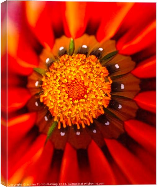 Radiating from the centre Canvas Print by Adrian Turnbull-Kemp