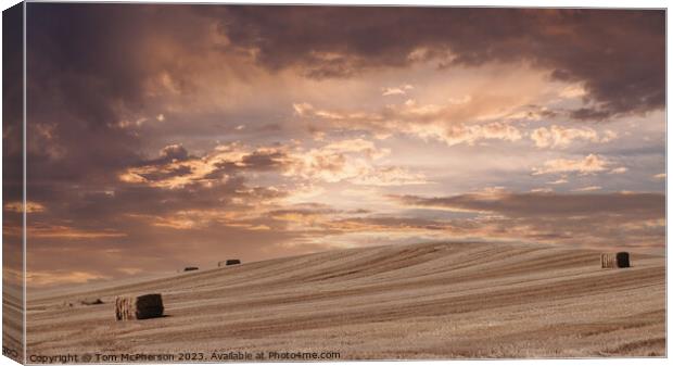 Golden Twilight Over Harvested Fields Canvas Print by Tom McPherson