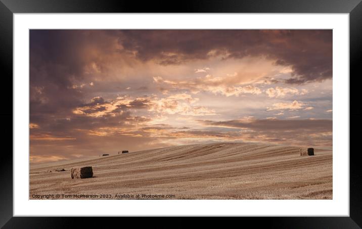 Golden Twilight Over Harvested Fields Framed Mounted Print by Tom McPherson