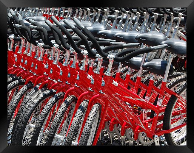 Hilton Head Bicycles Framed Print by Tom Spann