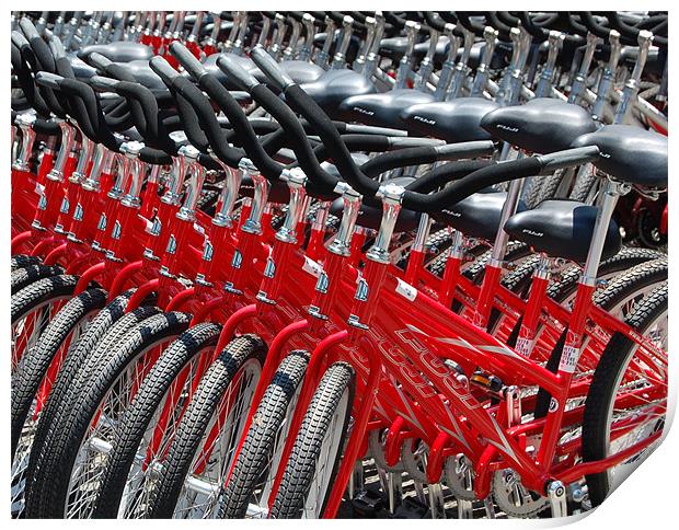 Hilton Head Bicycles Print by Tom Spann