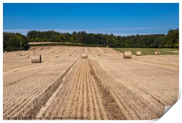 Harvest's Golden Bounty Print by Tom McPherson