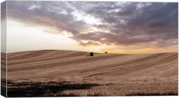 Sundown Over Moray Harvest Canvas Print by Tom McPherson