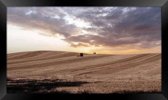 Sundown Over Moray Harvest Framed Print by Tom McPherson