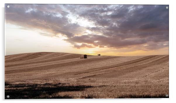 Sundown Over Moray Harvest Acrylic by Tom McPherson
