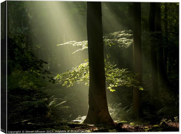 sunlit woodland Canvas Print by Simon Johnson