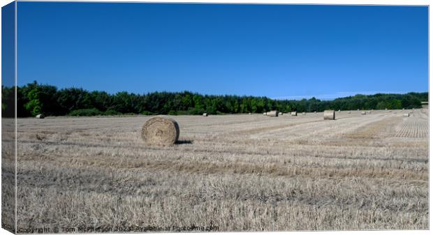 Verdant Pasture's Harvested Hay Bales Canvas Print by Tom McPherson