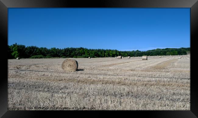 Verdant Pasture's Harvested Hay Bales Framed Print by Tom McPherson