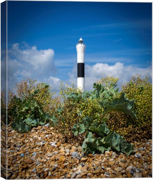 Dungeness lighthouse   Canvas Print by Victoria Bowie