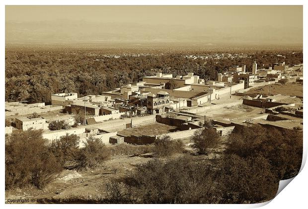 Tioute village and oasis, Morocco 1, sepia Print by Paul Boizot