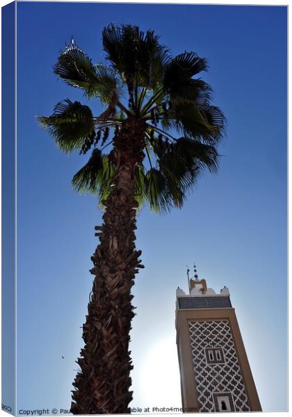 Palm tree and minaret, Taroudant  Canvas Print by Paul Boizot