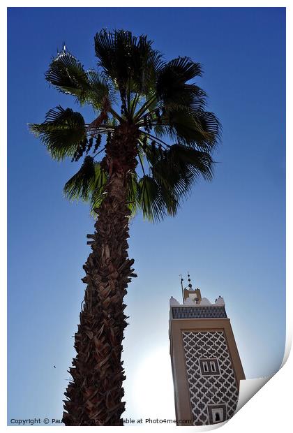 Palm tree and minaret, Taroudant  Print by Paul Boizot