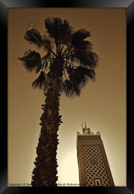 Palm tree and minaret, Taroudant, sepia  Framed Print by Paul Boizot
