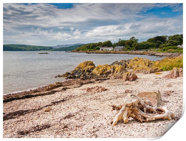 Rockcliffe, Dumfries and Galloway Print by Heidi Stewart