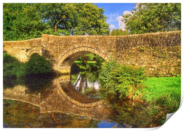 Huckworthy Bridge and River Walkham Print by Darren Galpin