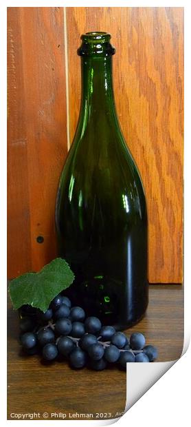 Wine Bottle 13A Print by Philip Lehman