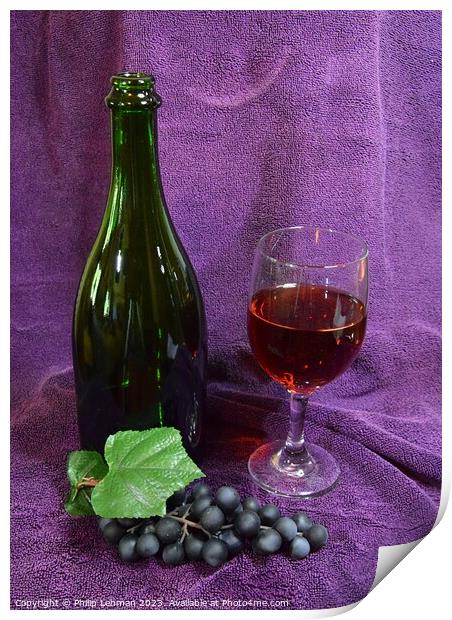 Wine Bottle 25A Print by Philip Lehman